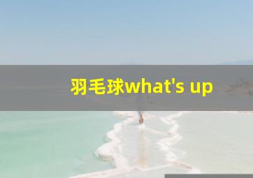 羽毛球what's up